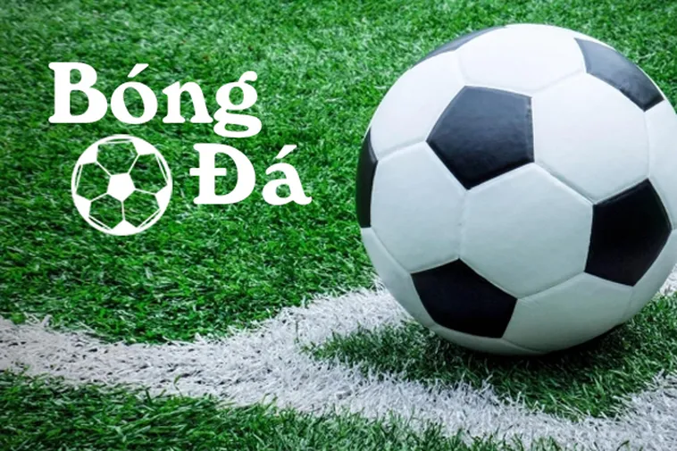 Tìm Hiểu Quy Định Bóng Trong Cuộc Và Bóng Ngoài Cuộc Mới Nhất
