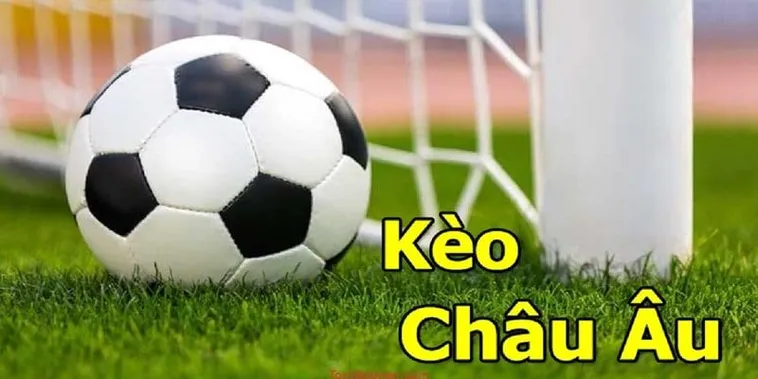Hướng Dẫn Cách Xem Kèo Châu Âu Tại BongDaLu Cho Người Mới