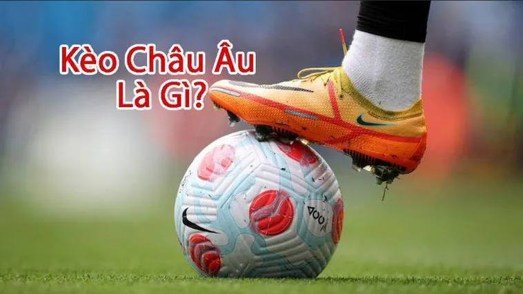 Hướng Dẫn Cách Xem Kèo Châu Âu Tại BongDaLu Cho Người Mới