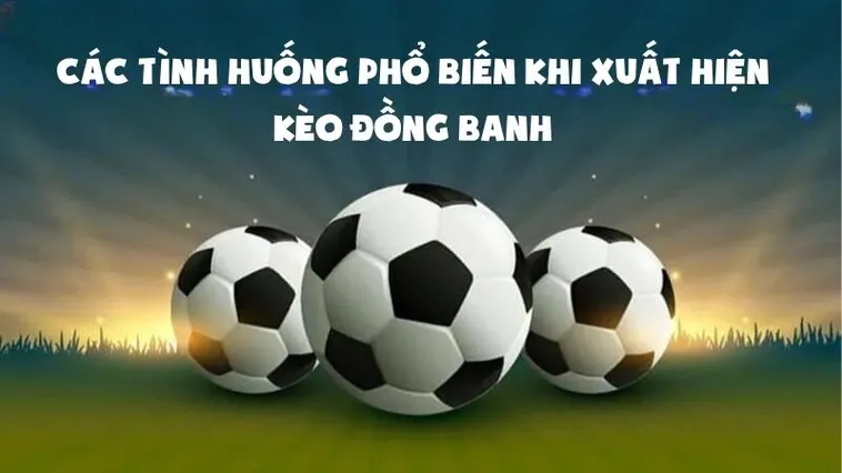 Cách Xem Kèo Đồng Banh Tại BongDaLu Cho Người Mới Bắt Đầu