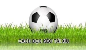Biện Pháp Chinh Phục Kèo Tài Xỉu Hiệp 1 Tại BongDaLu Cực Kỳ Đơn Giản