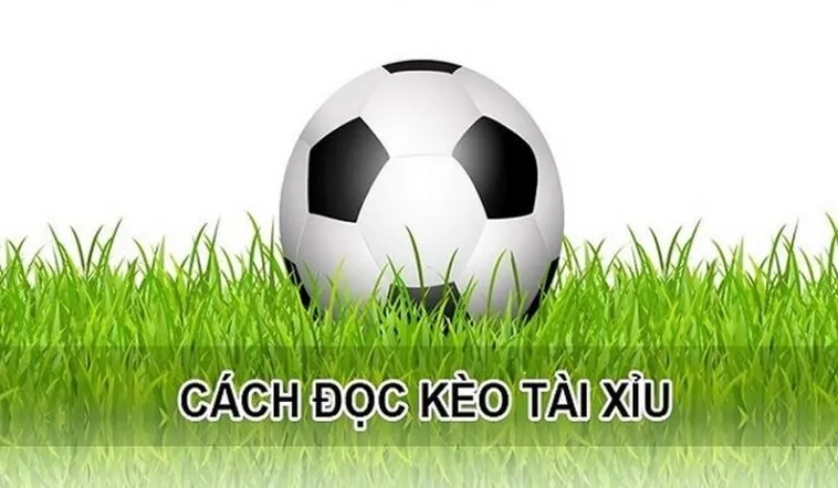 Biện Pháp Chinh Phục Kèo Tài Xỉu Hiệp 1 Tại BongDaLu Cực Kỳ Đơn Giản