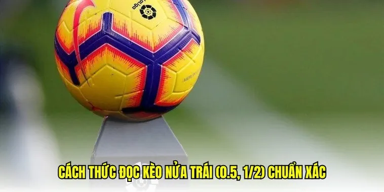 Hướng Dẫn Chơi Kèo Chấp 0.5 Tại BongDaLu Và Kinh Nghiệm Thắng Cược