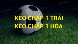 Bí Quyết Chinh Phục Kèo Chấp 1 Tại BongDaLu Cho Người Mới Bắt Đầu