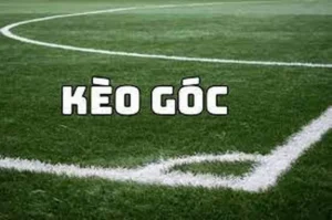 Hướng Dẫn Soi Kèo Phạt Góc Bóng Đá Tại BongDaLu Cực Chuẩn