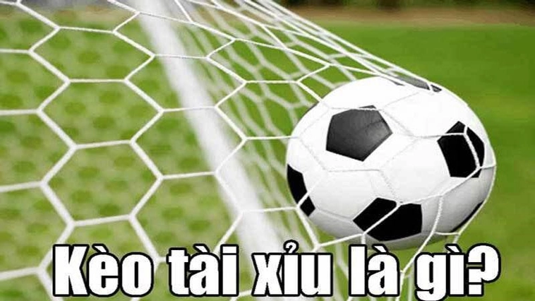 Cách Xem Kèo Tài Xỉu Bóng Đá Tại BongDaLu Để Thắng Lớn