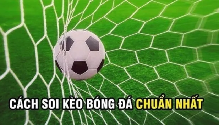Bí Kíp Đánh Kèo Rung Trong Bóng Đá Tại BongDaLu Luôn Giành Chiến Thắng