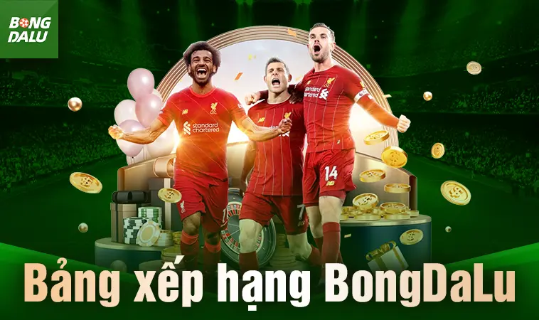 Tổng Quan Về Nền Tảng Dữ Liệu Bóng Đá Trực Tuyến BongDaLu