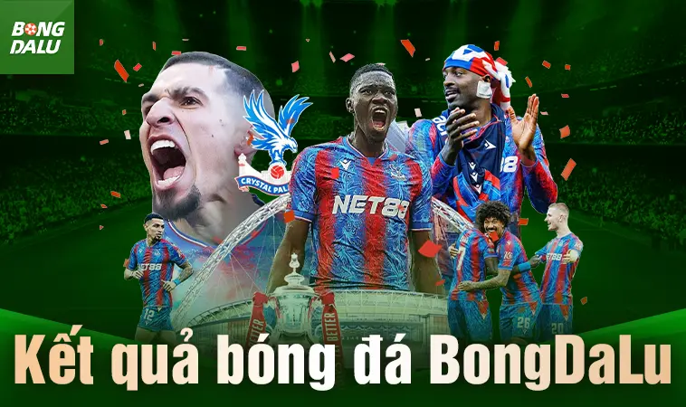 Tổng Quan Về Nền Tảng Dữ Liệu Bóng Đá Trực Tuyến BongDaLu