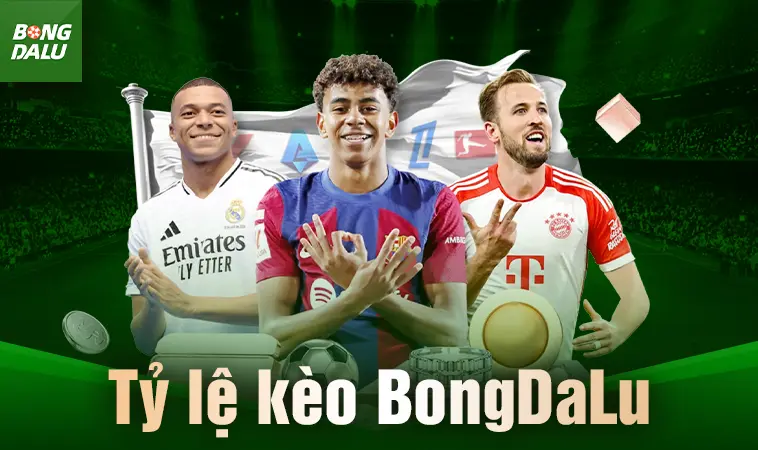Tổng Quan Về Nền Tảng Dữ Liệu Bóng Đá Trực Tuyến BongDaLu